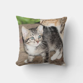 Kitten Kussen