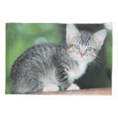 Kitten Kussensloop (Achterkant)