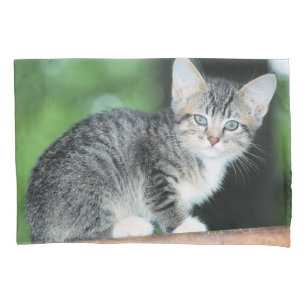 Kitten Kussensloop
