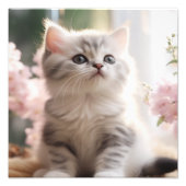 Kitten Kwekerij & Kinderkamer Prints Foto Afdruk (Voorkant)