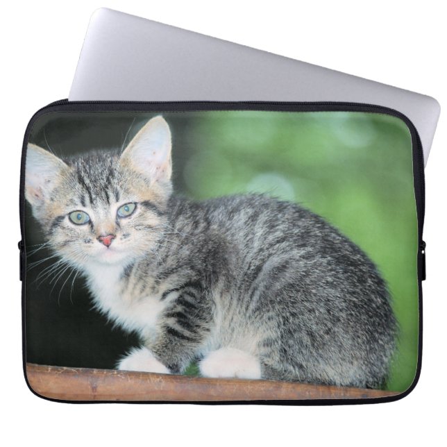 Kitten Laptop Sleeve (Voorkant)