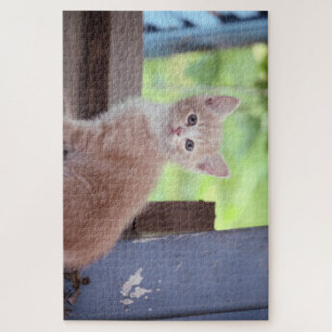 Kitten Legpuzzel