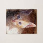 Kitten Legpuzzel (Horizontaal)