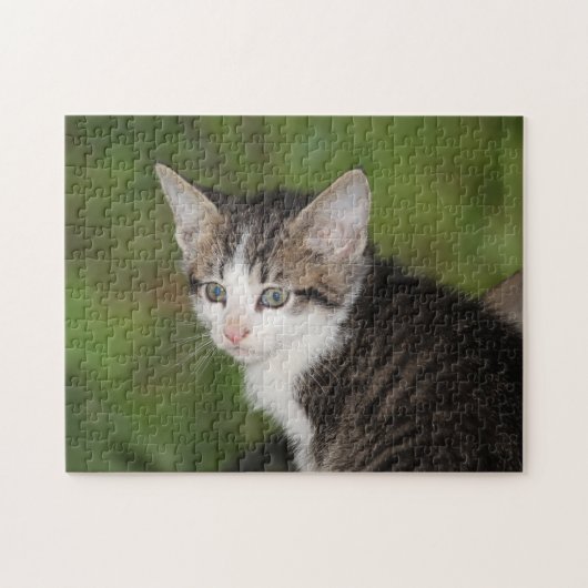 Kitten Legpuzzel (Horizontaal)