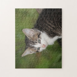Kitten Legpuzzel