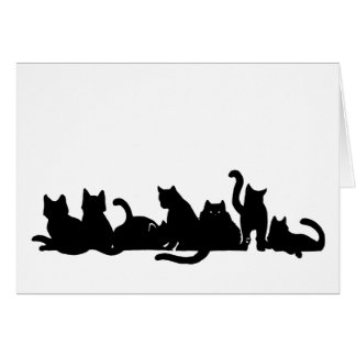 Kitten Line