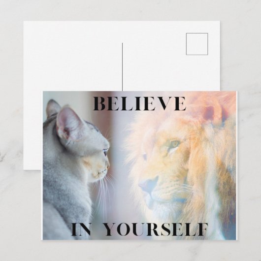 Kitten & Lion Mirror gelooft in jezelf Briefkaart (Voorkant / Achterkant)