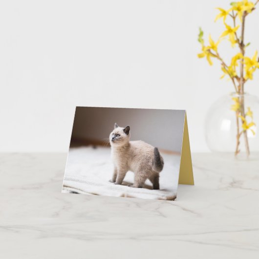 Kitten Love Kaart (Gele Bloem)