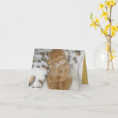 Kitten Love Kaart (Gele Bloem)