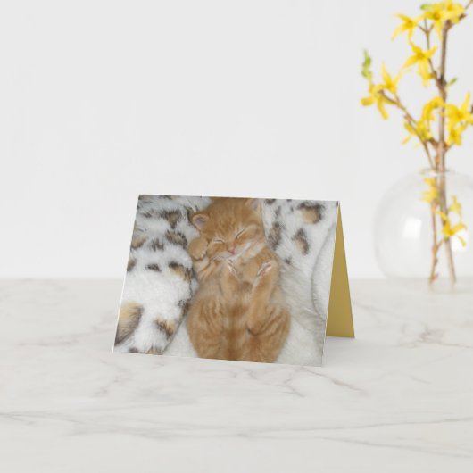 Kitten Love Kaart (Gele Bloem)