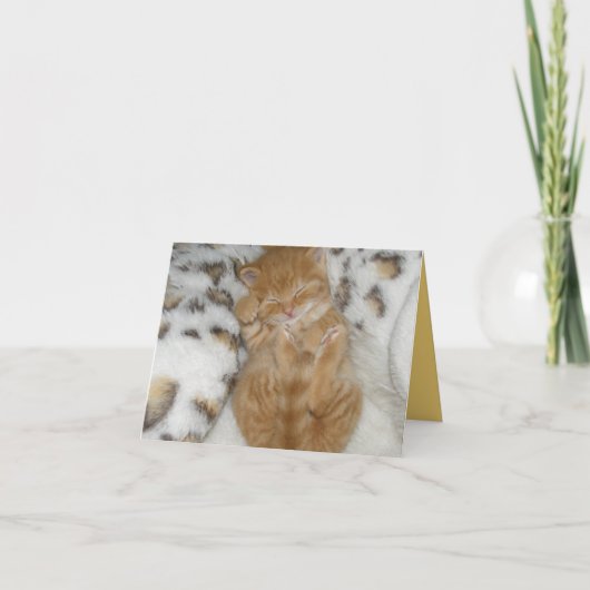 Kitten Love Kaart (Voorkant)