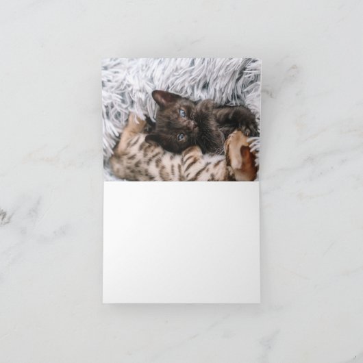 Kitten Love Kaart (Binnen)