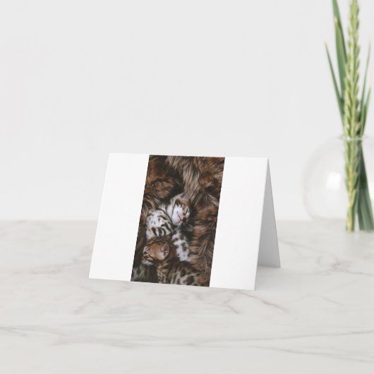 Kitten Love Kaart (Voorkant)