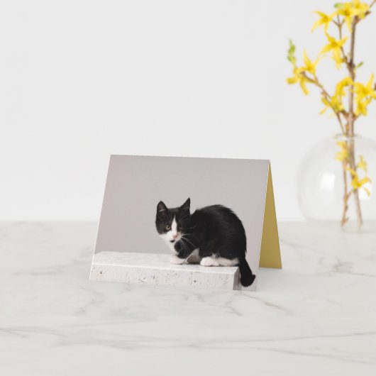 Kitten Love Kaart (Gele Bloem)