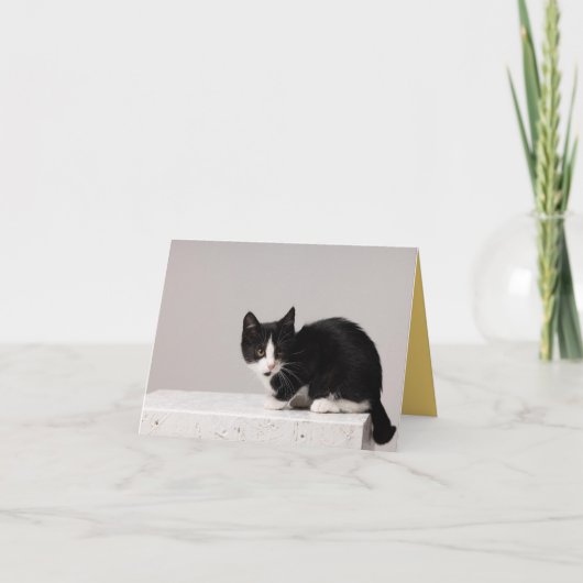 Kitten Love Kaart (Voorkant)