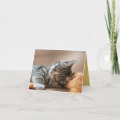 Kitten Love Kaart (Voorkant)