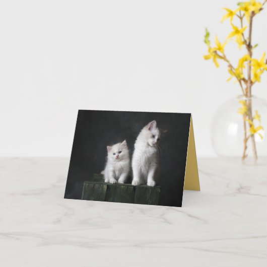 Kitten Love Kaart (Gele Bloem)