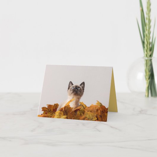 Kitten Love Kaart (Voorkant)