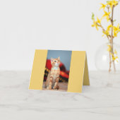 Kitten Love Kaart (Gele Bloem)