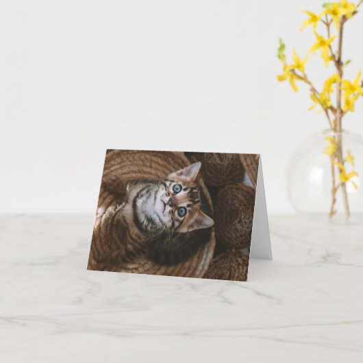 Kitten Love Kaart (Gele Bloem)