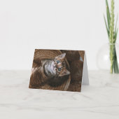 Kitten Love Kaart (Voorkant)