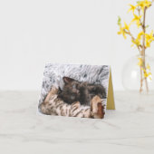 Kitten Love Kaart (Gele Bloem)