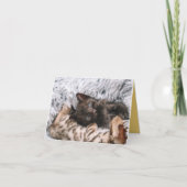 Kitten Love Kaart (Voorkant)