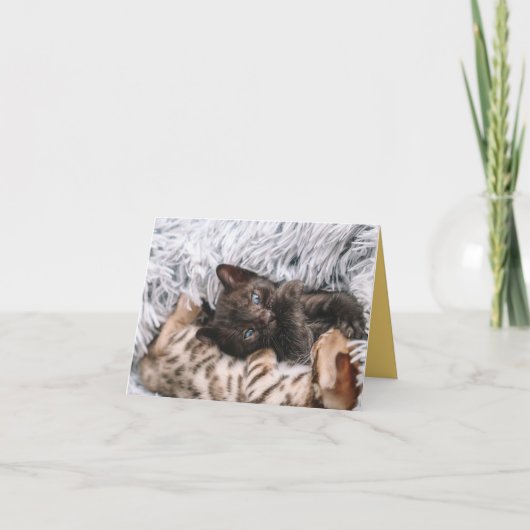 Kitten Love Kaart (Voorkant)