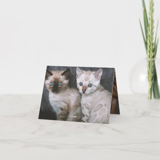 Kitten Love Kaart (Achterkant)