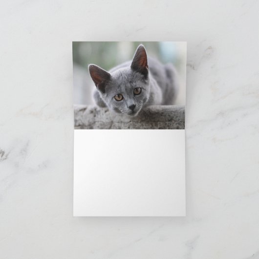 Kitten Love Kaart (Binnen)