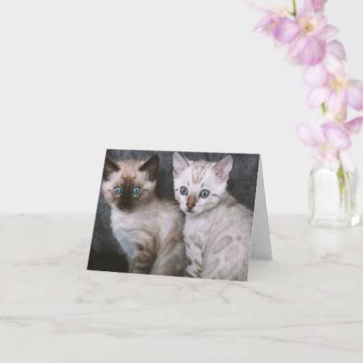 Kitten Love Kaart (Orchidee)