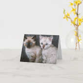 Kitten Love Kaart (Gele Bloem)