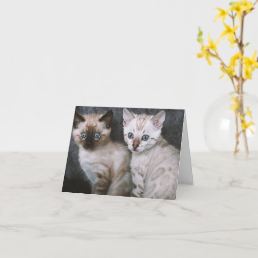 Kitten Love Kaart (Gele Bloem)