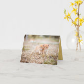 Kitten Love Kaart (Gele Bloem)