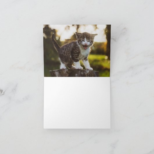 Kitten Love Kaart (Binnen)