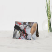 Kitten Love Kaart (Achterkant)