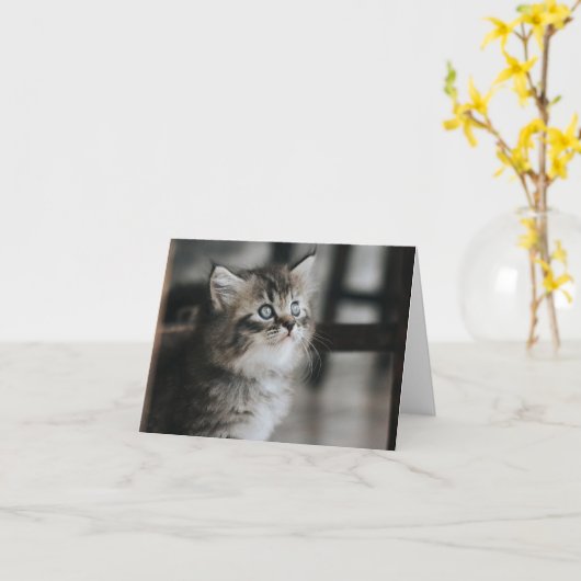 Kitten Love Kaart (Gele Bloem)