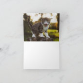 Kitten Love Kaart (Binnen)