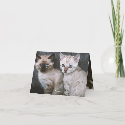 Kitten Love Kaart (Achterkant)