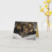 Kitten Love Kaart (Gele Bloem)