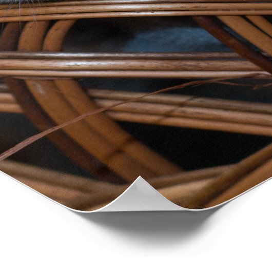 Kitten Love Poster (Hoek)