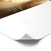 Kitten Love Poster (Hoek)