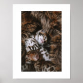 Kitten Love Poster (Voorkant)
