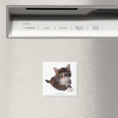 Kitten Magneet (Insitu (Vaatwasser))