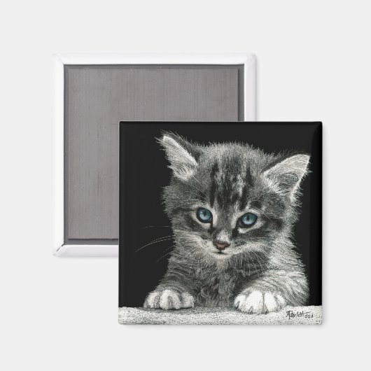 Kitten Magnet - "Bright Future" (Voorkant / Achterkant)