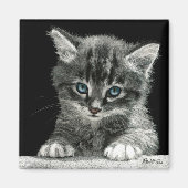 Kitten Magnet - "Bright Future" (Voorkant)