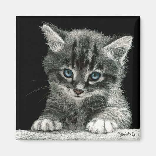 Kitten Magnet - "Bright Future" (Voorkant)