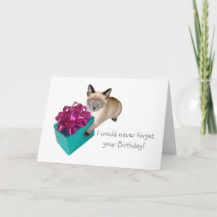 Kitten met Cadeau Verjaardag Kaart