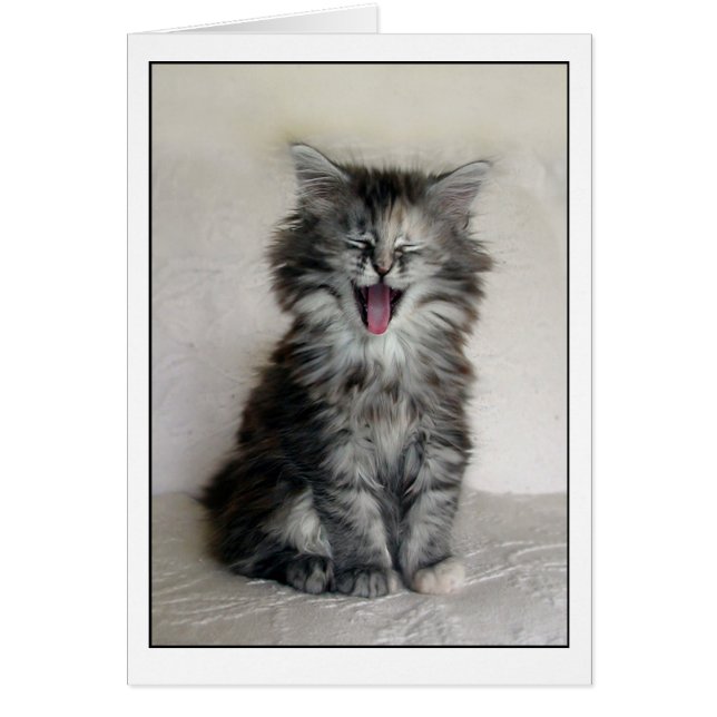 Kitten met een geweldige expressie (Voorkant)