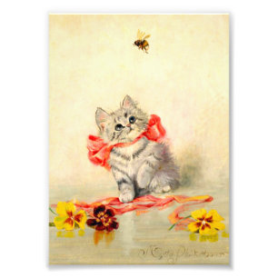 Kitten met een rood lint foto afdruk